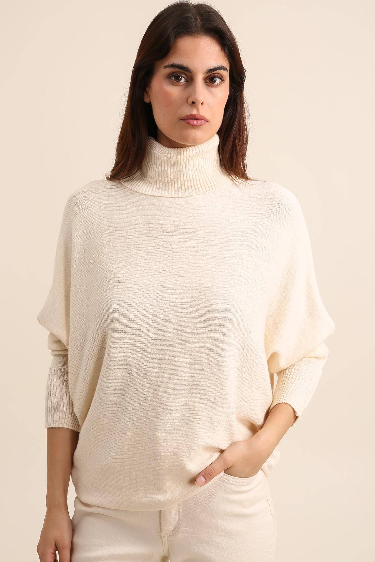 Pull avec col roulé REF. 6142