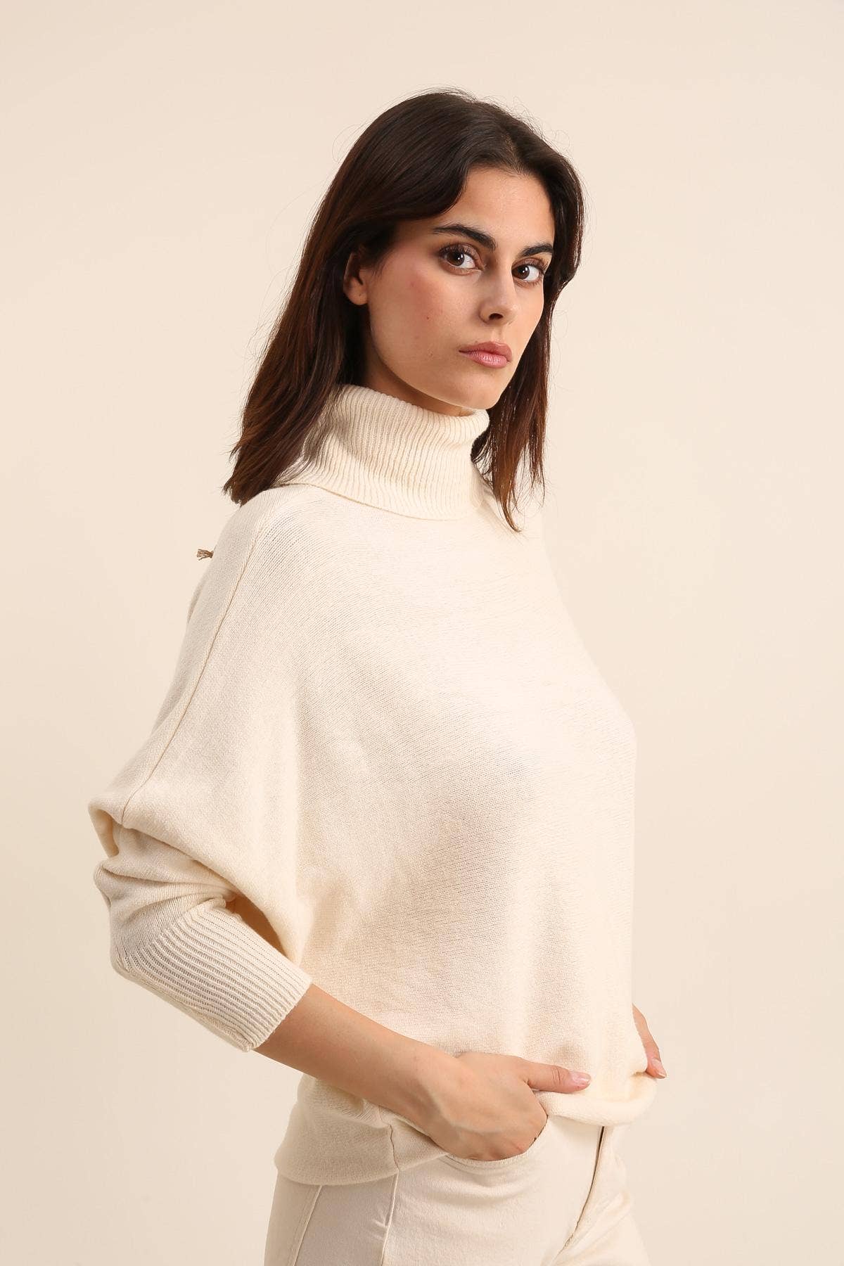 Pull avec col roulé REF. 6142