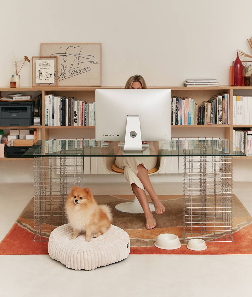 Mangeoire pour chien en céramique Bone White, Bole