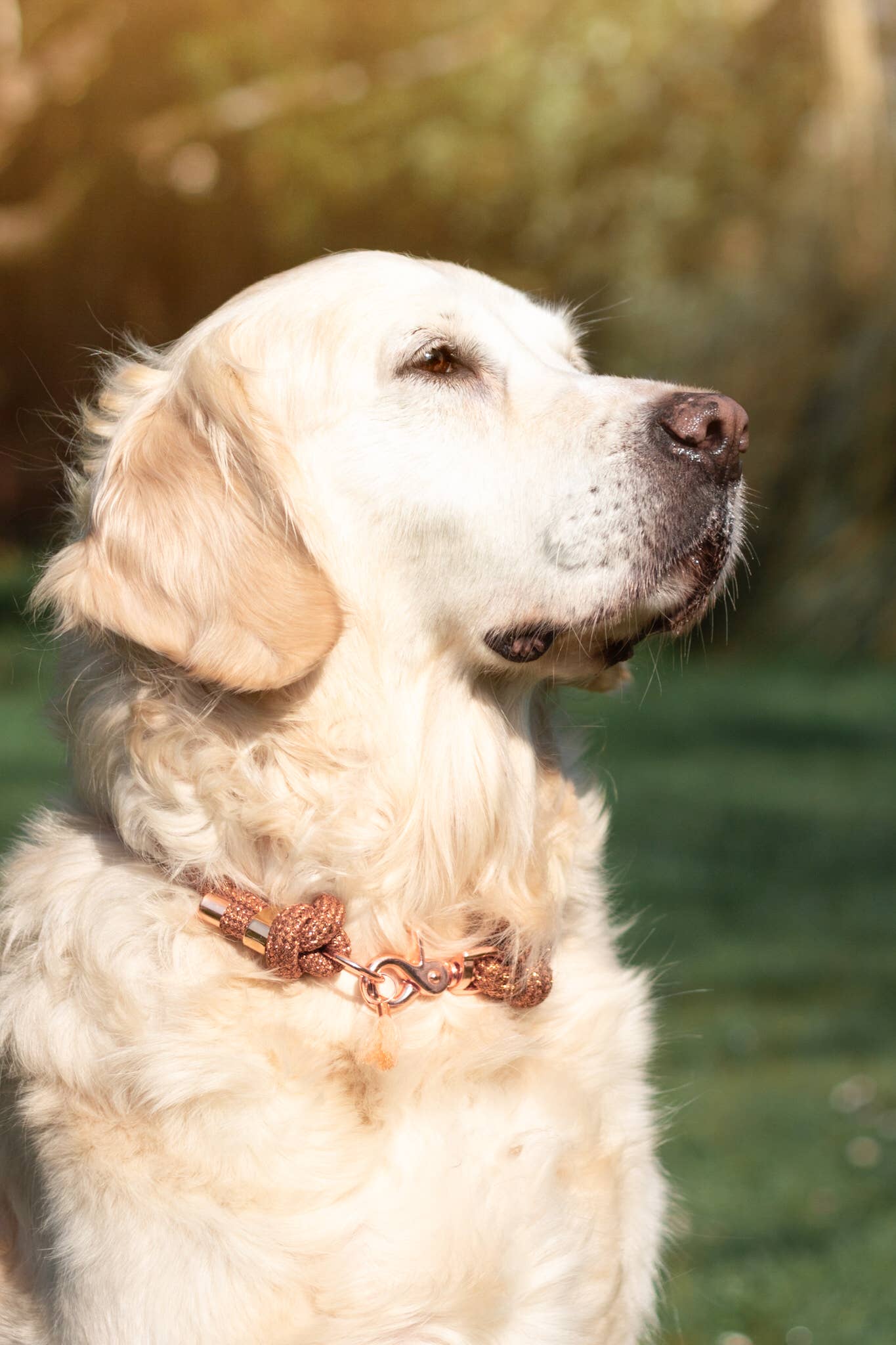Collier paracorde "Cuivré"