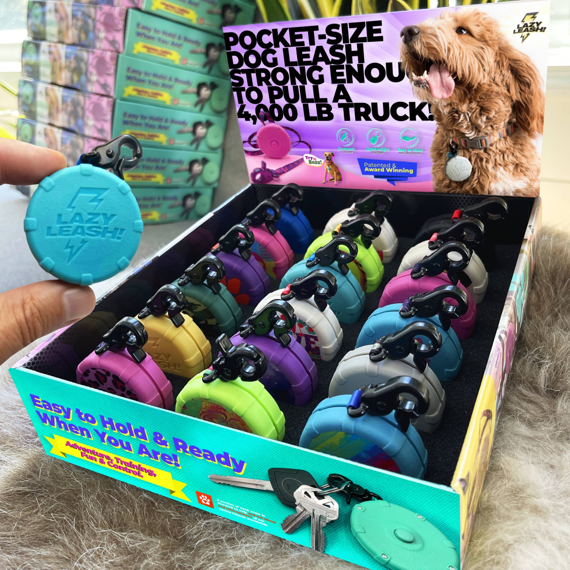 LAISSE PARESSEUSE ! ⚡️ Mini laisse Power ! Vitrine de comptoir 18 pièces