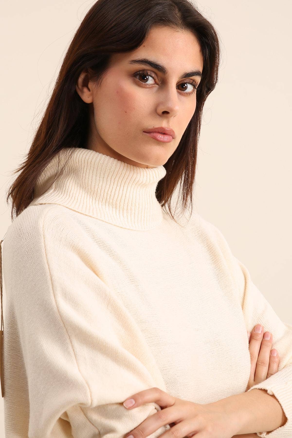 Pull avec col roulé REF. 6142
