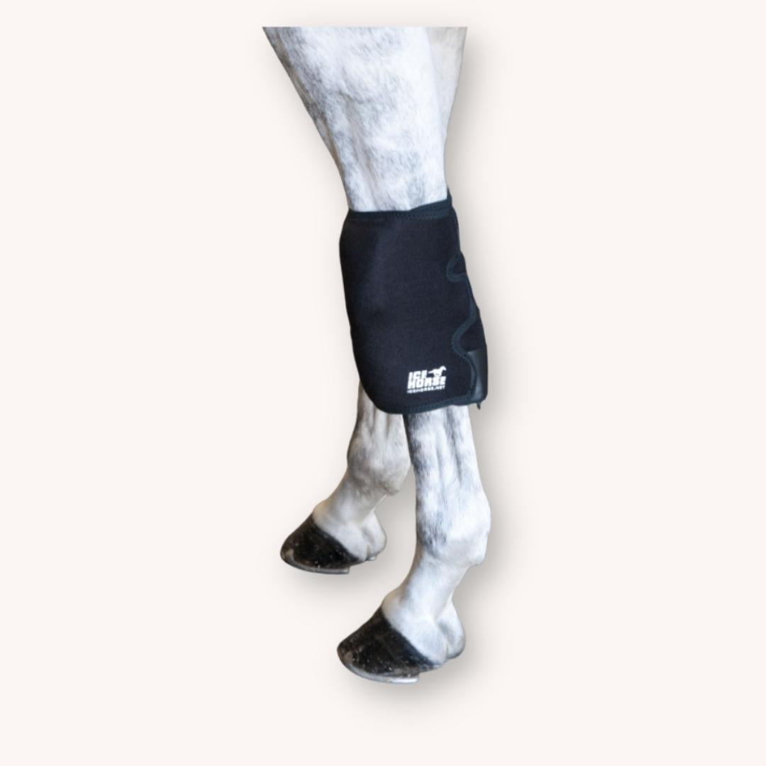 Enveloppe de Froid Ice Horse